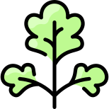 Parsley icon