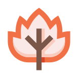 Feuille icon