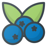 Blueberry icon