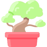 Bonsai icon