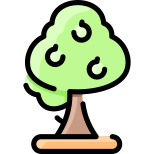 Árbol icon