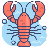 Crayfish icon