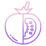 Tomato icon