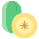 Kiwi icon