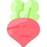 Beetroot icon