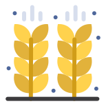 Grain icon