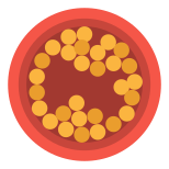 Cholesterol icon
