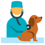 examen-veterinario icon
