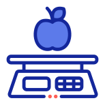 weight scale icon