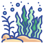 Seaweed icon