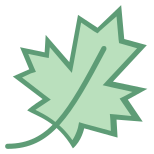 Feuille d'érable icon