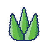 Aloe Vera icon