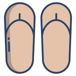 Flip Flops icon