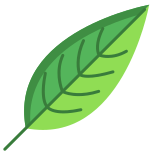 Heliconia Leaf icon