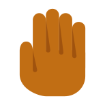 Stop Gesture Skin Type 5 icon