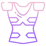 Shoulder Plackart Armor icon