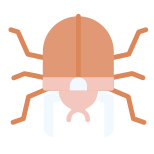 Beetle icon