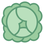 Cabbage icon