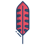 Red Bellied Woodpecker Feather icon