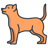 Chihuahua icon