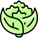 Romanesco Broccoli icon