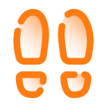 Sapatos icon