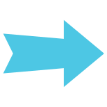 right direction arrows icon
