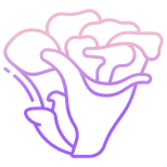 Maitake Mushrooms icon