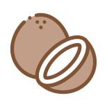 Macadamia icon