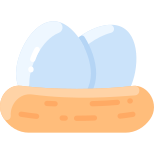 巢 icon