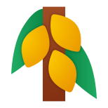 Cacaotier icon
