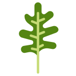 Arugula icon