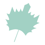 Maple leaf icon