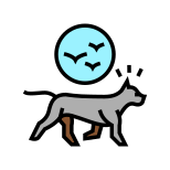 Dog Chasing Birds icon
