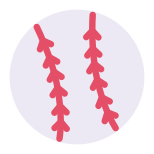 Baseball Ball icon