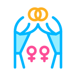 Same Sex Marriage icon