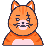 猫 icon