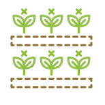 agricultura vertical icon