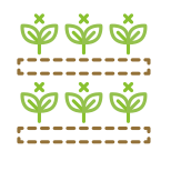 Agricultura vertical icon