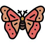 Moth icon