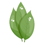 Estoques de esmagamento de folhas-vegetais externos-estoques de esmagamento planos icon