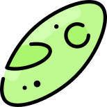 Microorganism icon