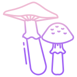 Honey Agaric icon