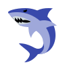 Aggressive Shark