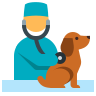 Veterinary Examination