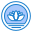 coin icon