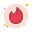 火种 icon