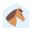 Pferdestall icon