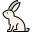 Lapin icon