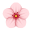 Kirschblüte icon